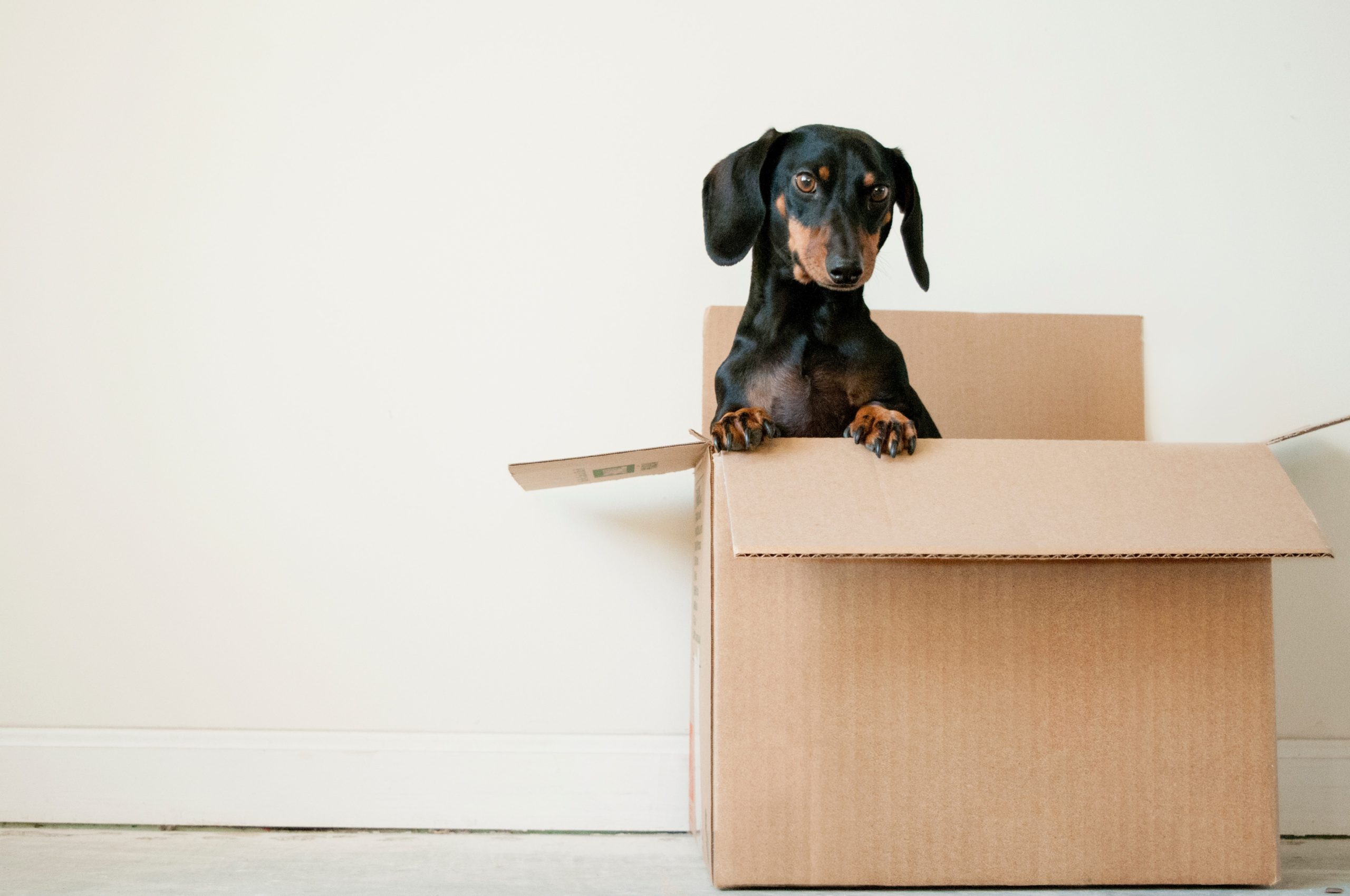 Read more about the article Top Tips for Stress Free House Removals in Bundaberg